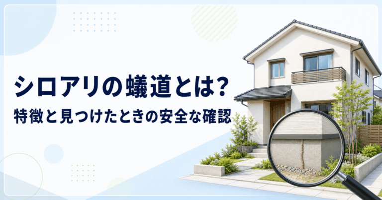 住宅の基礎にある土状の筋を確認するシロアリの蟻道の記事画像