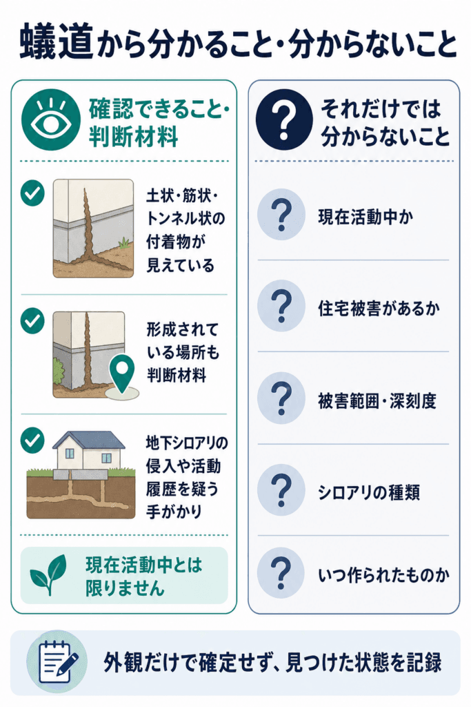 シロアリの蟻道から確認できることと外観だけでは分からないこと